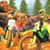 offroad motorcycle bike racing 2020